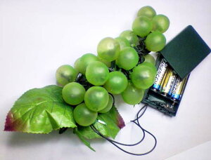 y}XJbgz29t[cvdrLEDC~l[Vߓdi