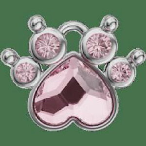 ANZT[F̑11×10.5mmysNn[gztbNpt XtXL[ENX^ y_g OX}[J[