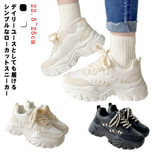 Xj[J[ fB[X Xj[J[  V[Y 22.5~25cm y C Ȃ [Jbg EH[LOV[Y  킢 JWA V[Y ₷ ʊw ʋ Vv 