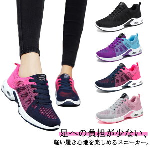 Xb| fB[X EH[LOV[Y Xj[J[ X|[cV[Y i[XV[Y jOV[Y JWAV[Y ^C ₷ b wlC y ʋC ~ y