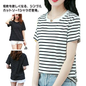 Tシャツ ボーダー 半袖 シンプル カットソー トップス レディース ティシャツ ティーシャツ クルーネック 春 夏 コットン 綿 夏服 春夏 おしゃれ かわいい 可愛い 白 半袖Tシャツ 女性 大人