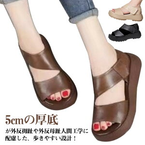 gȌT_ T_ fB[X Od  T_ X|[cT_ EH[LO K ʋC b  Xj[J[T_ ₷ lԍHw gAbv 5cm r