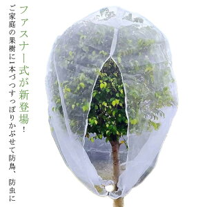 ʎ͔| t@Xi[t lbg 180x180cm g}g Q΍ 悯lbg 悯 h hlbg lbg ʎ Q΍ bV ؉v^[p |  Aی u[x