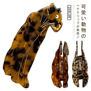 oXNbv wANbv ܂Ƃߔ Ip[h qE    wAANZ l fB[X i wAAW wAANZT[ Ip[h q LbY q w