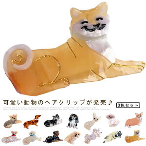 l wANbv oXNbv 3ރZbg   wAANZT[ fB[X ܂Ƃߔ  i wAAW wAANZ  Lbg q LbY q w