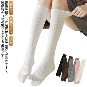 fB[X 2Zbg ܃\bNX 2{w \bNX nC\bNX wl  \bNX G ȍ n C 킢 O {w nC\bNX  Y p AQ