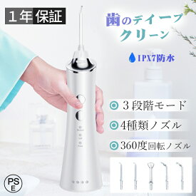 ＼2025 実用的な敬老の日プレゼント★美しい秘密／ 口腔洗浄器 歯垢除去 口内洗浄機 超音波 電動ジェットウォッシャー 携帯型 歯周ポケット 歯垢除去 初心者向け 3段階モード 防水 充電式 歯みがき 虫歯 奥歯 隙間 除菌 抗菌 敬老の日 口臭防止 誕生日プレゼント