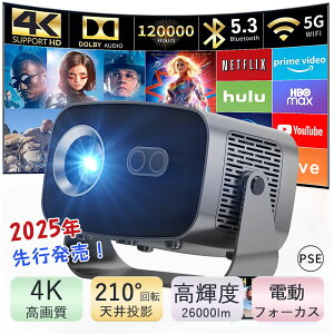 _POINT×10Iwbhz^ z[vWFN^[ vWFN^[ { q ^ ƒp V 4KΉ dtH[JX `␳ Ze X}z 5GWiFi6 Bluetooth5.3 Px ~jy