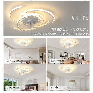 y3Nۏ؁zV[Ot@Cg É F DC[^[ 6iK Rt AvΉ V[OCg T[L[^[ dC t@tƖ 10 12  ^ 铔 l