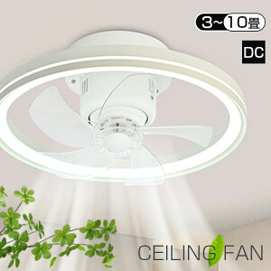 y10%OFF3Nۏ؁zV[Ot@Cg U T[L[^[ dC t@tƖ 6iK É 10  ^ y F t@tV[OCg DC[^[ ledC