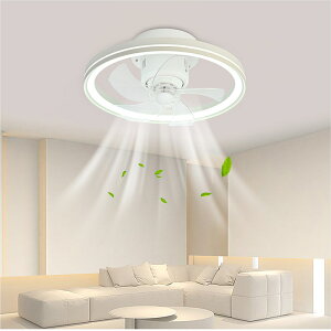 y10%OFF3Nۏ؁zV[Ot@Cg U T[L[^[ dC t@tƖ 6iK É 10  ^ y F t@tV[OCg DC[^[ ledC