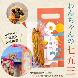 千歳肉（ちとせにく） ミニサイズ 犬用 七五三 縁起物 贈り物 お年賀