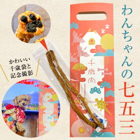 千歳肉（ちとせにく） 通常サイズ 犬用 七五三 縁起物 贈り物 お年賀