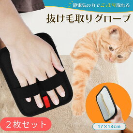 猫 犬 用 グルーミング グローブ 2枚セット 抜け毛 除去 手袋 静電気 毛取りブラシ グローブ ペット マッサージ うさぎ 小動物対応