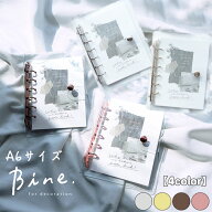 Bine クリアバインダー A6 バイン バインダー シルバー ゴールド ピンクゴールド ブラウン マインドウェ…