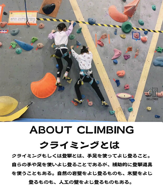 楽天市場】クライミングホールド【30個セット】 ロック クライミング 