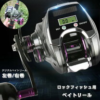 楽天市場】カウンター付き ベイト リール（フィッシング｜スポーツ 