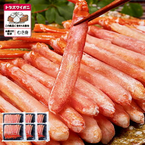 _11100|CgobN^   Jj I gQYC r {C gQYCKj |[V 120{ Ⓚ Ε 2025 2026 v[g Mtg 蕨 yz