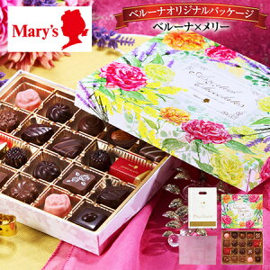 _11ő100|CgobN^ [ o^Cf[ 2026 Mtg [`R[g A\[g`R[g 1 20 4-7Oエ͂ yz