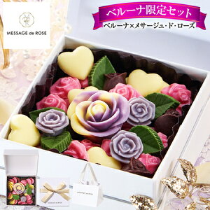 _11ő100|CgobN^ o^Cf[ 2026 lC `R Mtg `R[g T[WEhE[Y Rt 1 4-7Oエ͂ yz