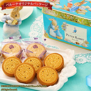 _11ő100|CgobN^ o^Cf[ 2026 lC rXPbg Mtg s[^[rbg rXPbg 1 7 4-7Oエ͂ yz