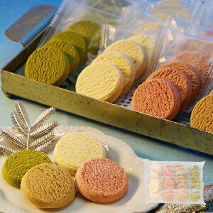 _11100|CgobN^ o^Cf[ 2026 lC NbL[ Mtg Ԑ A\[gNbL[ 40 1 4-7Oエ͂ yz