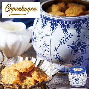 _11100|CgobN^ o^Cf[ 2026 lC NbL[ Mtg Ryn[Q _jbV~jNbL[ 1 250g 4-7Oエ͂ yz