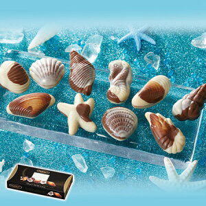 _11100|CgobN^ o^Cf[ 2026 lC Mtg `R[g V[VF`R 1 10 4-7Oエ͂ yz