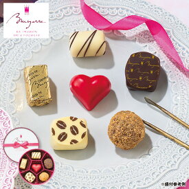 バレンタインデー 2026 人気 チョコ ギフト チョコレート ブリュイエール セレクション 6個 1箱 【送料無料】
