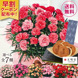 母の日 2021 早割 ギフト ランキング プレゼント カーネーション 花鉢 スイーツセット お菓子 文明堂 どら焼き さくらもなか 5号鉢 どらやきセット 母の日期間お届け