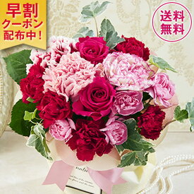 楽天市場 花束 切花 種類 植物 アイビー 花 観葉植物 花 ガーデン Diy の通販 楽天市場 花束 切花 種類 植物 アイビー 花 観葉植物 花 ガーデン Diy の通販