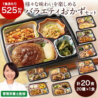 冷凍弁当 健康 おかず 冷凍 食品 宅菜便 4種 定番おかず 20食 セット 第4弾 弁当 簡単 時短 塩分 カロリ…