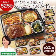 冷凍弁当 健康 おかず 冷凍 食品 宅菜便 4種 定番おかず 20食 セット 第4弾 弁当 簡単 時短 塩分 カロリ…