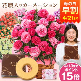 早割 母の日 プレゼント 花 2026 予約 ギフト カーネーション 花鉢 鉢植え スイーツ お菓子 バウムクーヘン セット さくらもなか フロランタン オルフィカ ティーパーティー ルミナリア オレンジ 5号 母の日期間お届け 【送料無料】