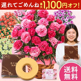 ＼最大1,100円オフ！／ 遅れてごめんね 母の日 プレゼント 花 2026 ギフト カーネーション 花鉢 鉢植え スイーツ お菓子 バウムクーヘン セット さくらもなか オルフィカ ティーパーティー 5号 7日前後お届け 【送料無料】