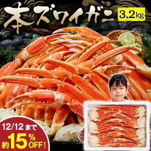 _10/24`27ő100|CgobN^   Jj I YC 킢 {C YCKj r 3.2kg Jj ăKj Ⓚ Ε 2025 2026 v[g Mtg 蕨 yz