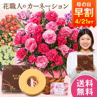 早割 母の日 プレゼント 花 2026 予約 ギフト カーネーション 花鉢 鉢植え スイーツ お菓子 バウムクーヘ…