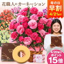 早割 母の日 プレゼント 花 2026 予約 ギフト カーネーション 花鉢 鉢植え スイーツ お菓子 バウムクーヘン セット さ…