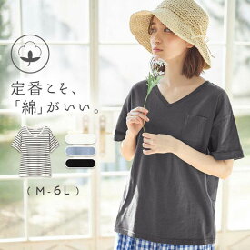 【楽天スーパーSALE 15％OFFクーポン】 Viola e Viola（ヴィオラ エ ヴィオラ）【WEB限定】Tシャツ 【新色追加】綿100％ポケット付ゆるTシャツ(M～7L-8L) 30代 40代 夏 レディース Viola e Viola ヴィオラ トップス シャツ