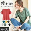 楽天市場 Tシャツ カットソー カラー パープル スタイル ネック Vネック 人気ランキング1位 売れ筋商品