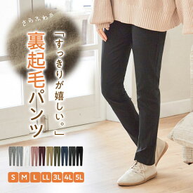 【全品20％OFFクーポン配布中！】Viola e Viola（ヴィオラ エ ヴィオラ） 【WEB限定】レギパン パンツ あったか楽ちん裏起毛チュニックパンツ(S～5L) レディース ロングパンツ スキニーパンツ フルレングスパンツ 裏起毛 あったか 270870 30代 40代