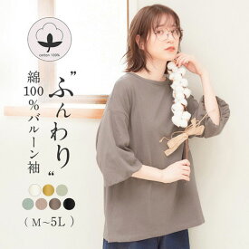 【最大1000円OFFクーポン配布中！】Viola e Viola（ヴィオラ エ ヴィオラ）【WEB限定】 23夏 カットソー プルオーバー 綿100％ふんわりバルーン袖プルオーバー(M～5L) 30代 40代 夏 レディース トップス Tシャツ