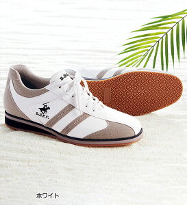 Xj[J[ 23.5cm 24.0cm 24.5cm 25.0cm 25.5cm 26.0cm 26.5cm ro[qY|Nuq[AbvXj[J[(23.5cm`26.5cm) x[i 50 60 Y am l H~ H~