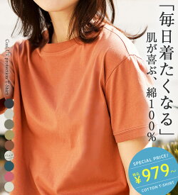 ＼まとめ買い最大20％OFFクーポン／Tシャツ レディース ヒンヤリ！綿100％大人顔サマ見えTシャツ 2025夏 ベルーナ belluna S-5L 半袖 半そで 高評価