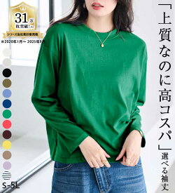 カットソー プルオーバー 【選べる袖丈】＜BC＞綿100％プチハイネックTシャツ(M〜5L) 2025秋冬 レディース ラナン RANAN 30代 40代 50代 トップス Tシャツ