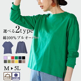 カットソー プルオーバー 綿100％プチハイネックプルオーバー＜オーガニックコットン＞＜Beautiful　Cotton＞(M～5L) ベルーナ ラナン Ranan 30代 40代 50代 大人 ファッション レディース トップス Tシャツ