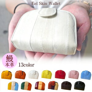 ܂z ܌ fB[X z fB[X ܂ ܌ / 킢 ܂z ܌ C[XL U[ ܂z ܌ z Mtg Ȃ Vv Mtg