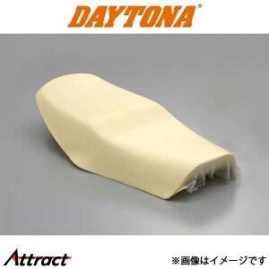 fCgi oCNp RIPMOV[g E^Pi RZ250/350p oCNpi 73631 DAYTONA