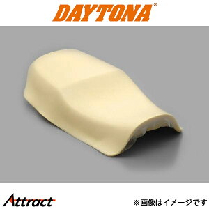 fCgi oCNp RIPMOV[g E^Pi@GPZ900Rp oCNpi 73645 DAYTONA