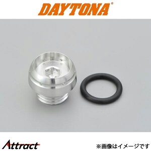 fCgi rbgXCOA[Xv[T^Cv Vo[ 98403 DAYTONA